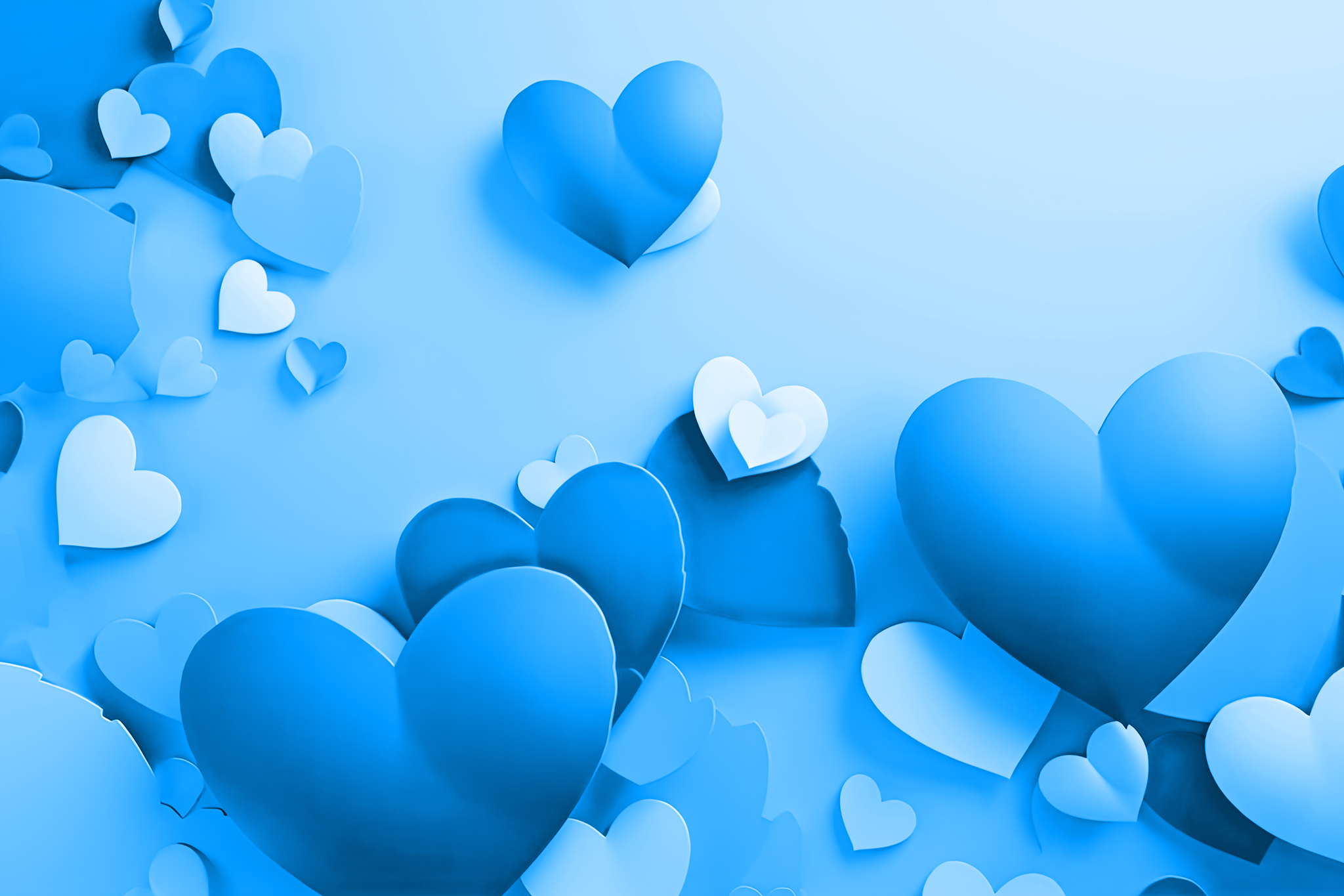 Valentine’s Day Survival Guide
