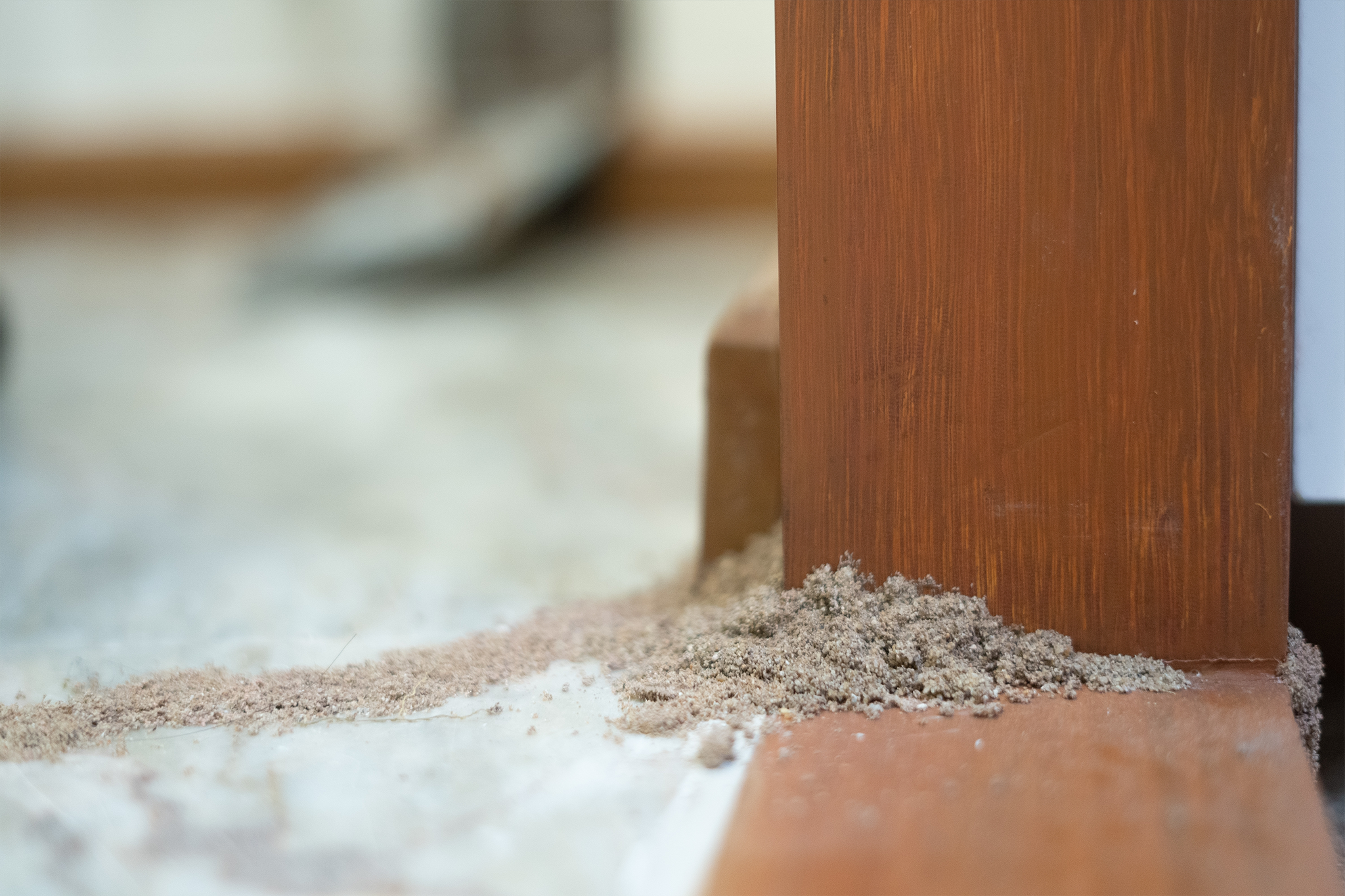 Termites: The Tiny Threat Every First‑Home Builder Should Know About